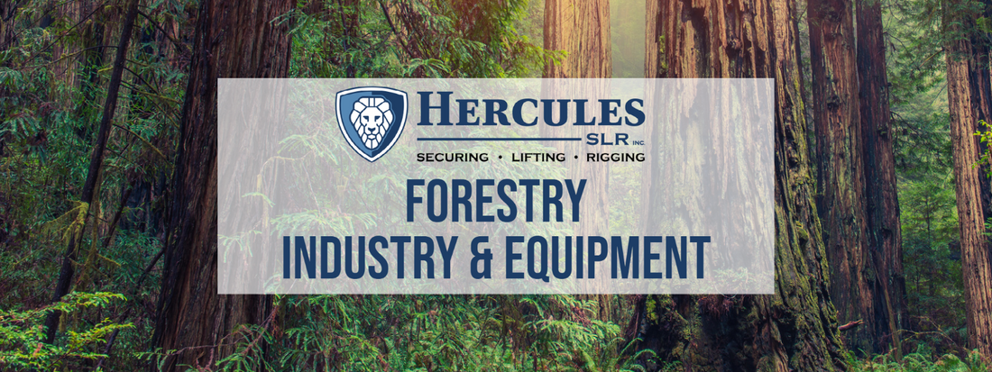 Forestry Industry & Equipment