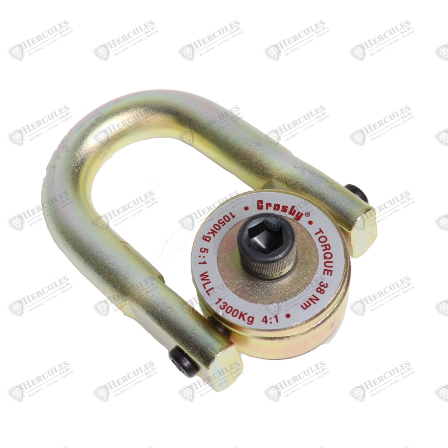 HOIST RING M8X1.25X40 SWIVEL