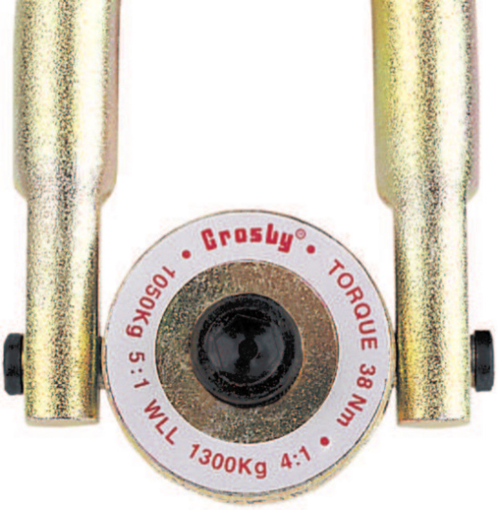 RING HST SWVL 2150KG AT 5:1 DSGN FAC - Hoist Rings - Hercules Lifting