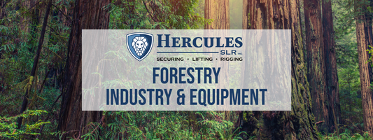 Forestry Industry & Equipment