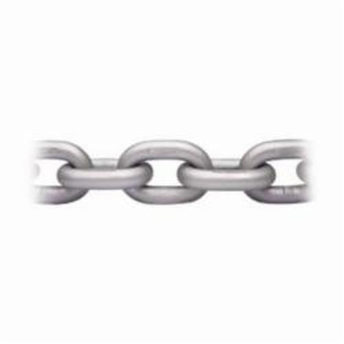 CHAIN 3/8IN 100GRD 1FT 8800LB ALY STL - Chain - Hercules Lifting