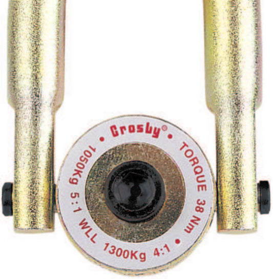 RING HST SWVL 13500KG AT 5:1 DSGN FAC - Hoist Rings - Hercules Lifting