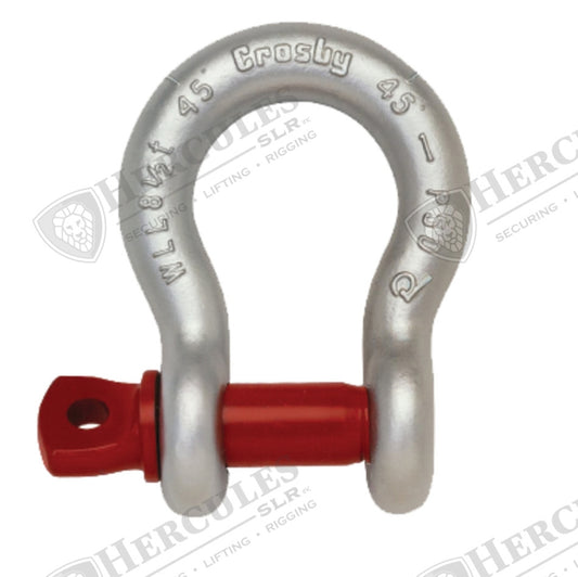 SHACKLE 1-1/8IN SCREW PIN ANCHOR SC