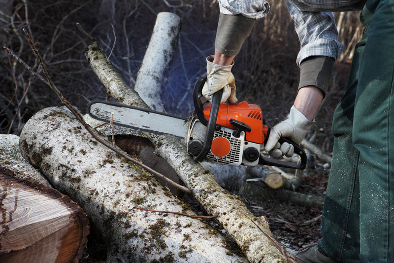 Chainsaw Safety